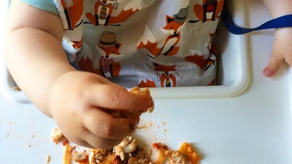 Baby Led Weaning the BLWMamaUK way