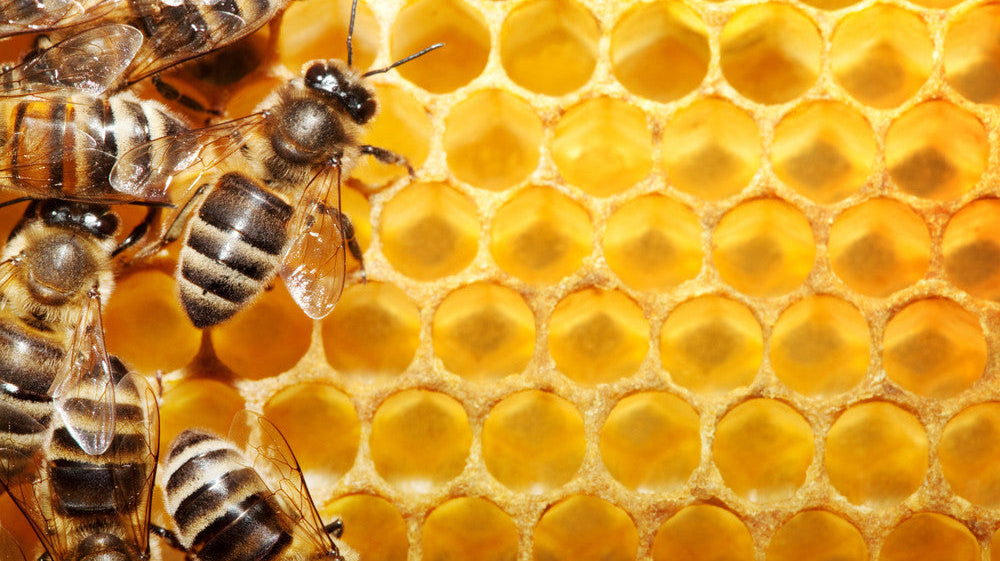 Honey and Hayfever Relief