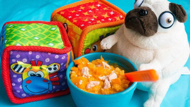 Left over pumpkin recipes