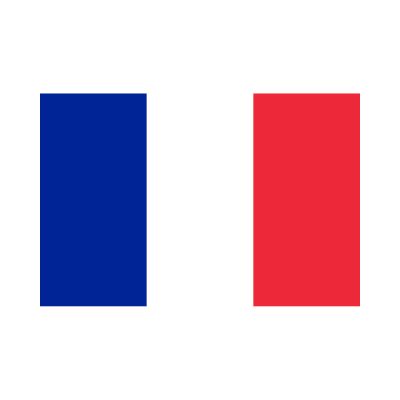 Mini French lag icon